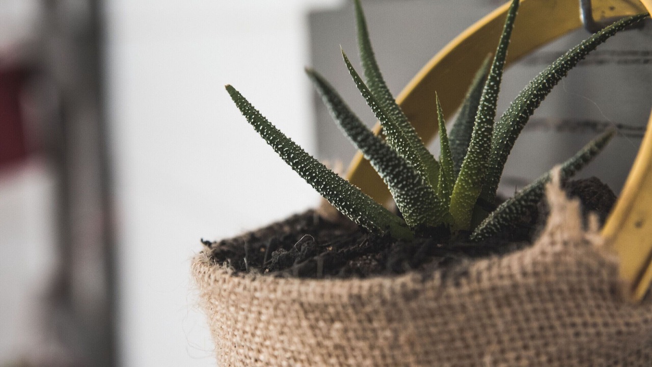 Photo of Others in Sion-les-Mines
