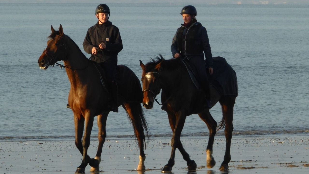Photo of Others in Saint-Brevin-l'Ocean