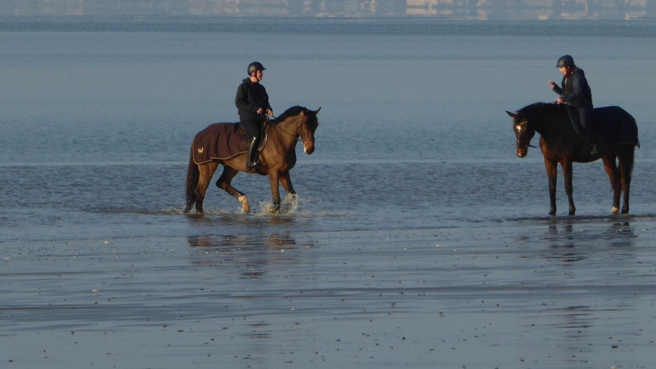 Photo of Others in Saint-Brevin-l'Ocean