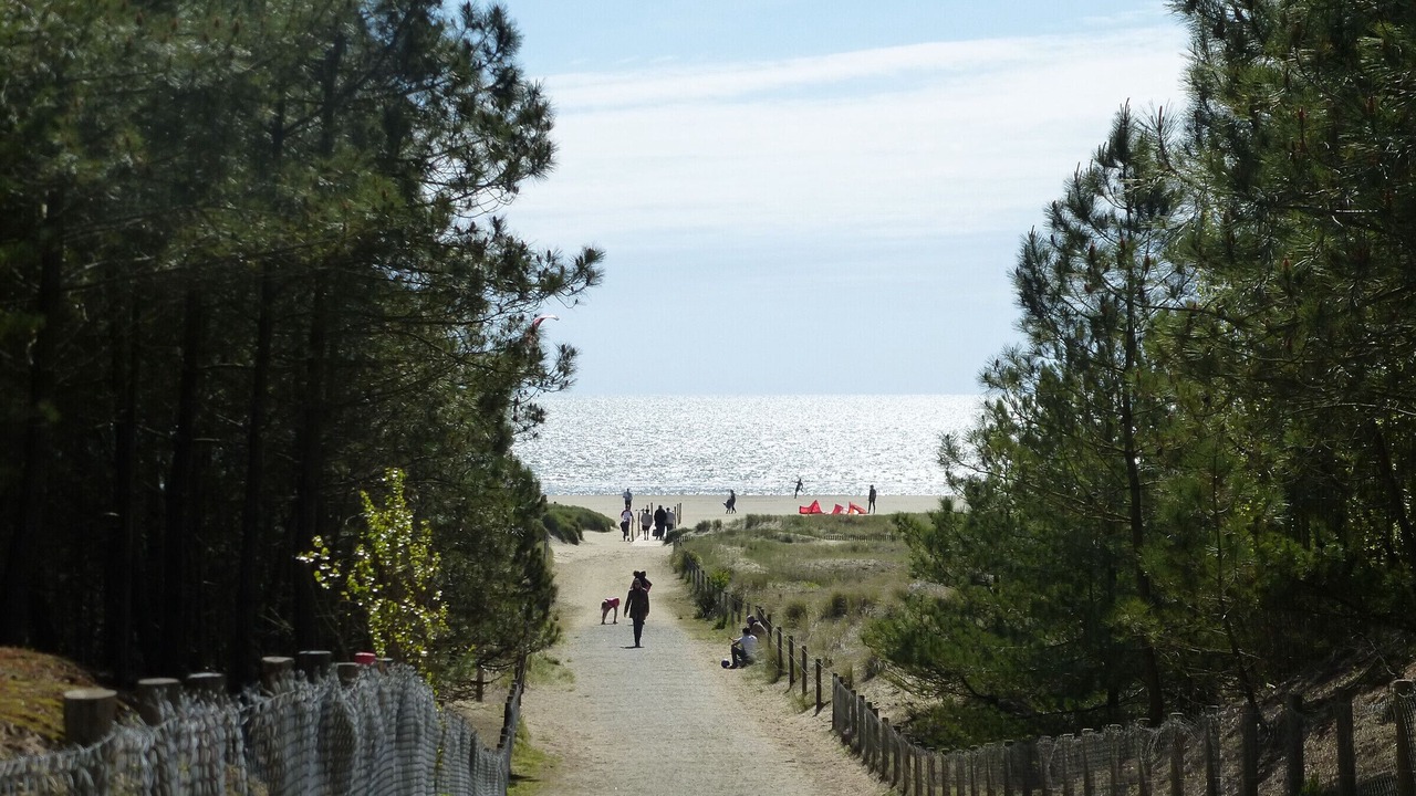 Photo of Others in Saint-Brevin-l'Ocean