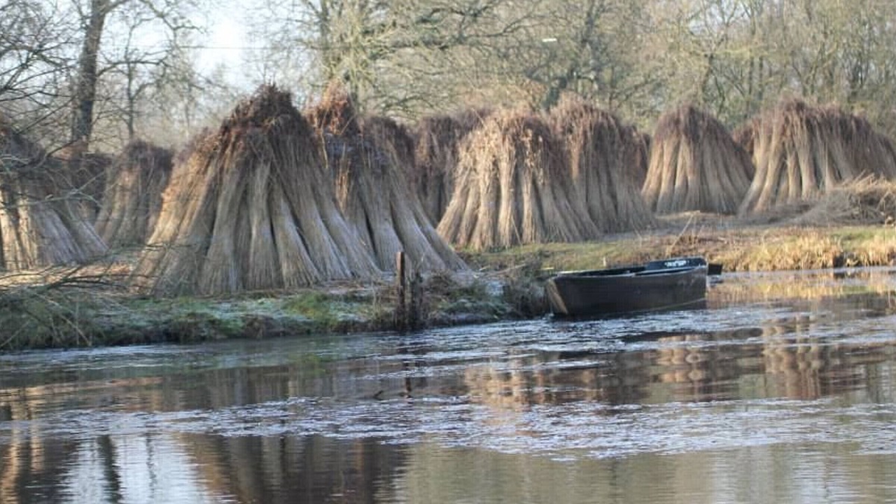 Photo of Outdoor in Saint-Lyphard