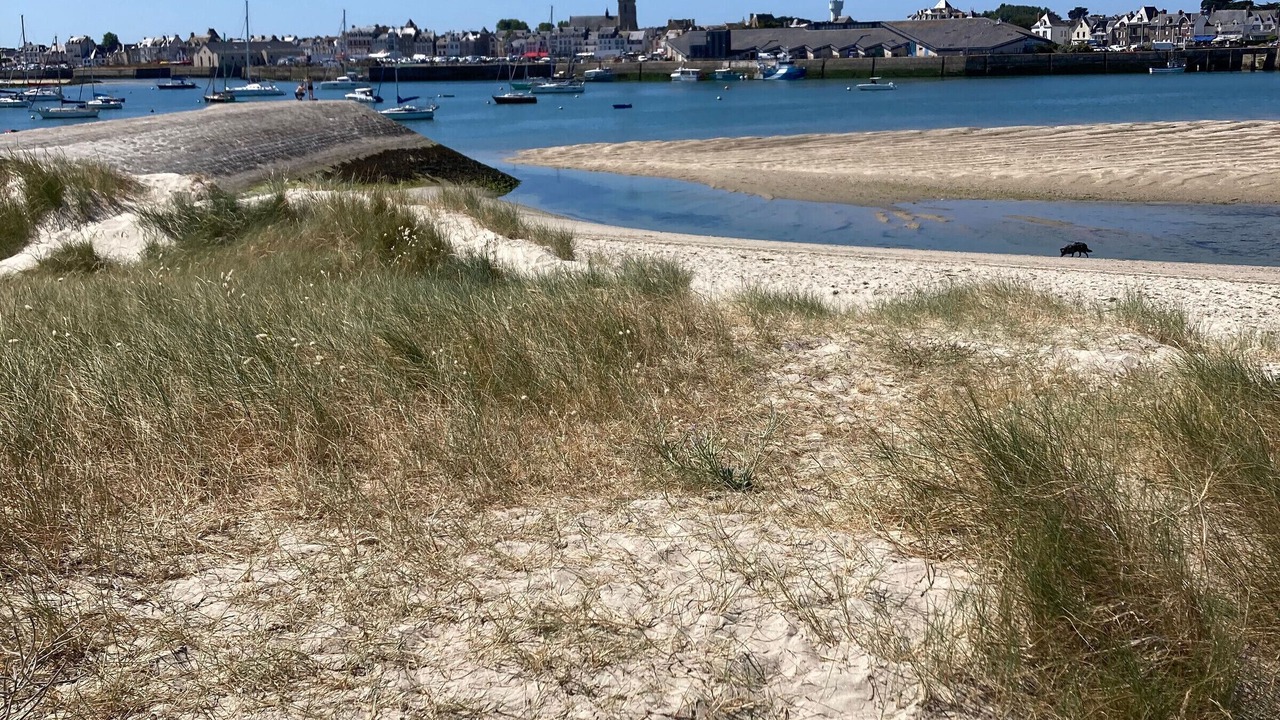 Photo of Others in Guerande
