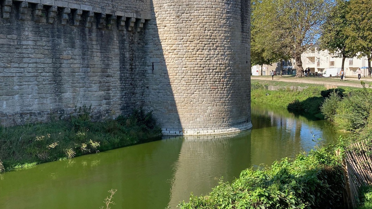 Photo of Others in Guerande
