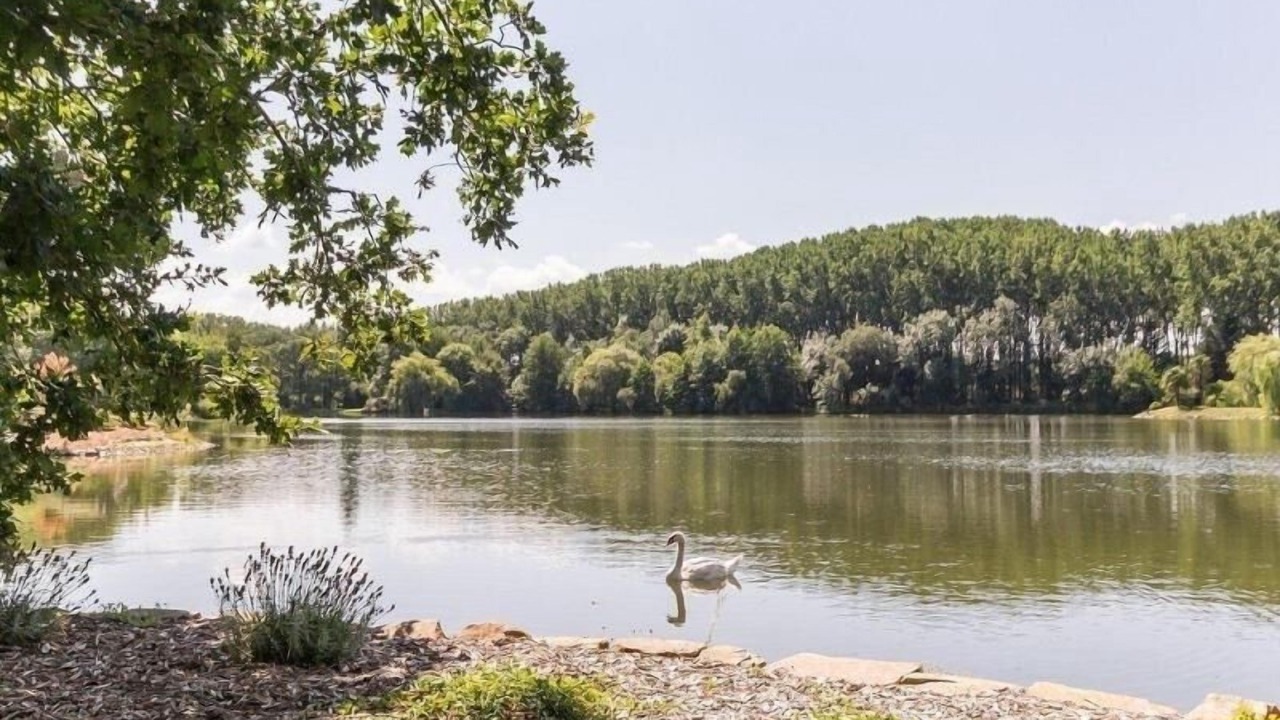 Photo of Outdoor in Ligne