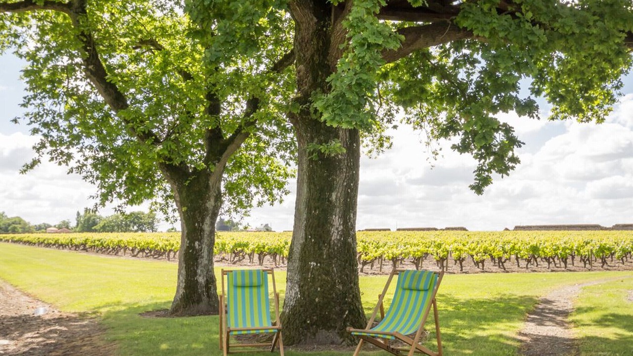 Photo of Outdoor in Chateau-Thebaud