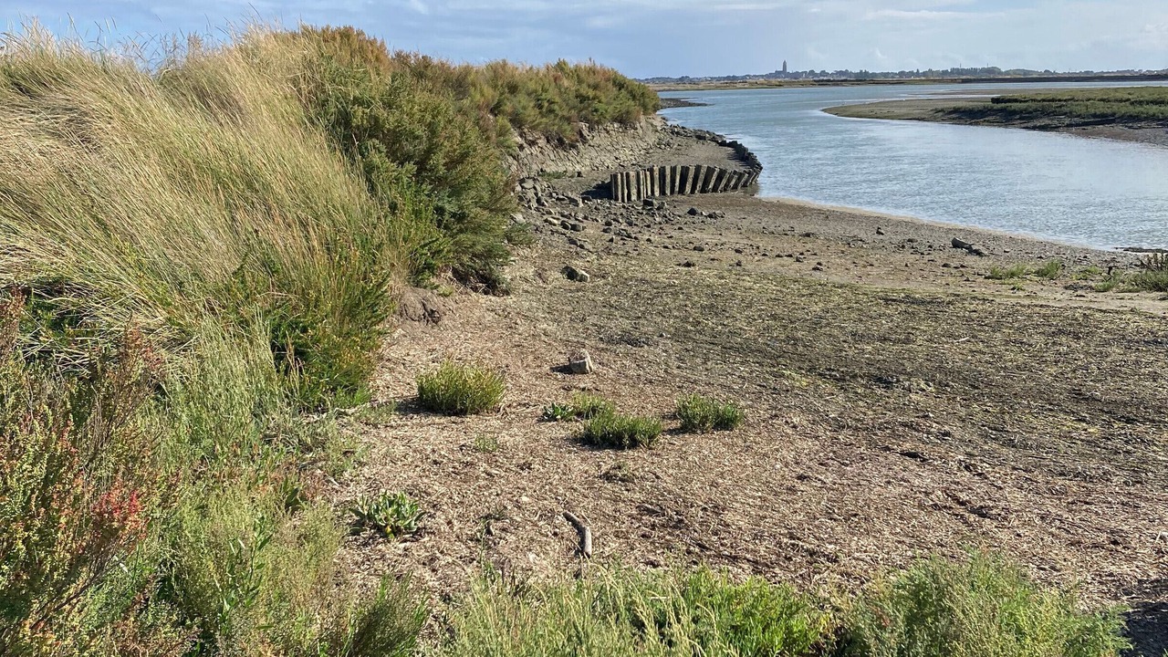 Photo of Others in Guerande