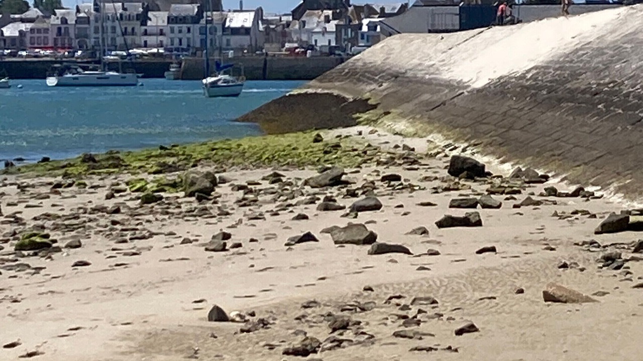 Photo of Others in Guerande