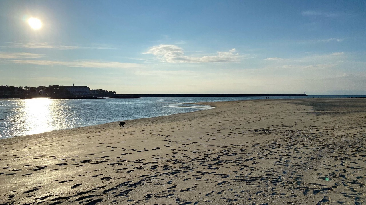 Photo of Others in Guerande
