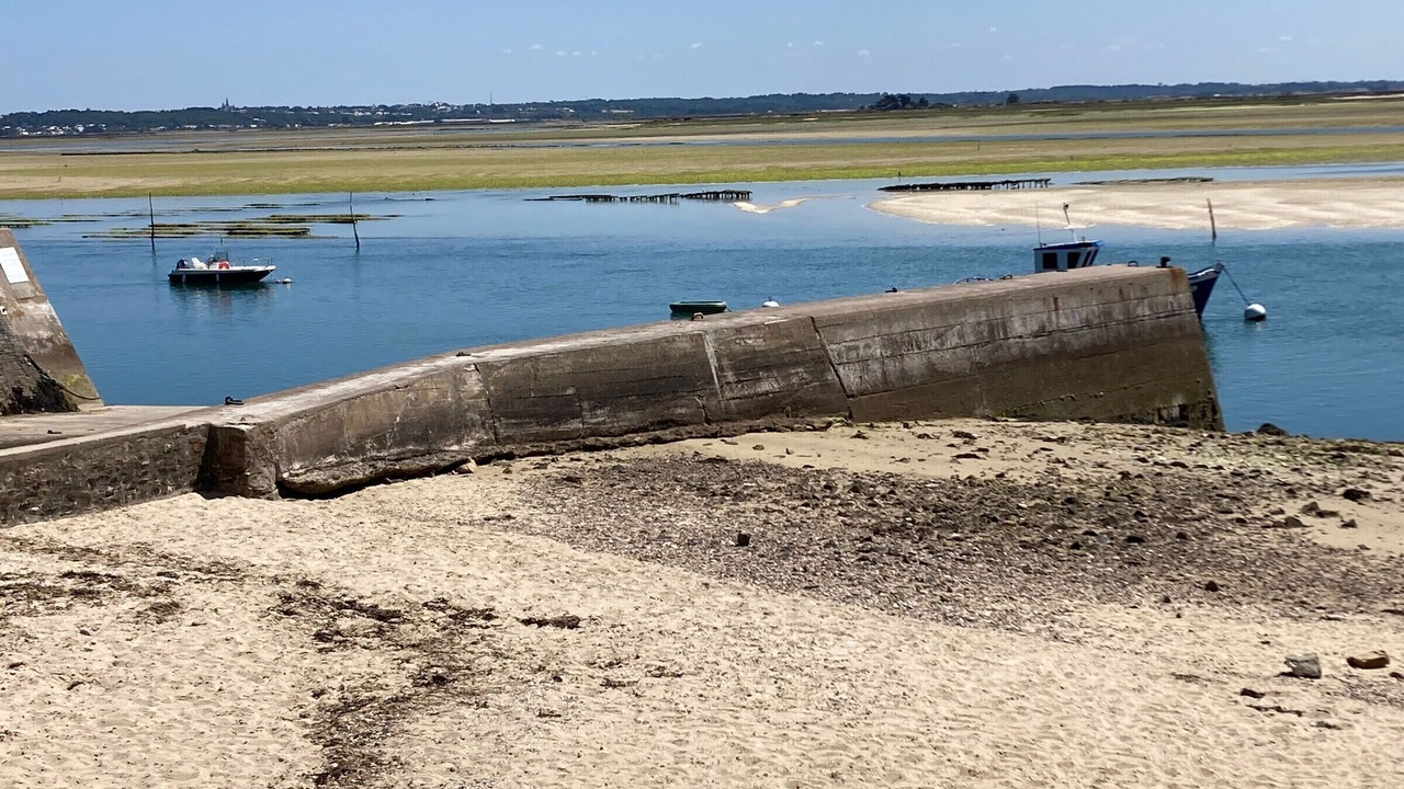 Photo of Others in Guerande