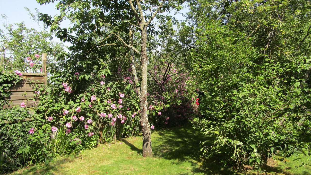 Photo of Outdoor in Saffre