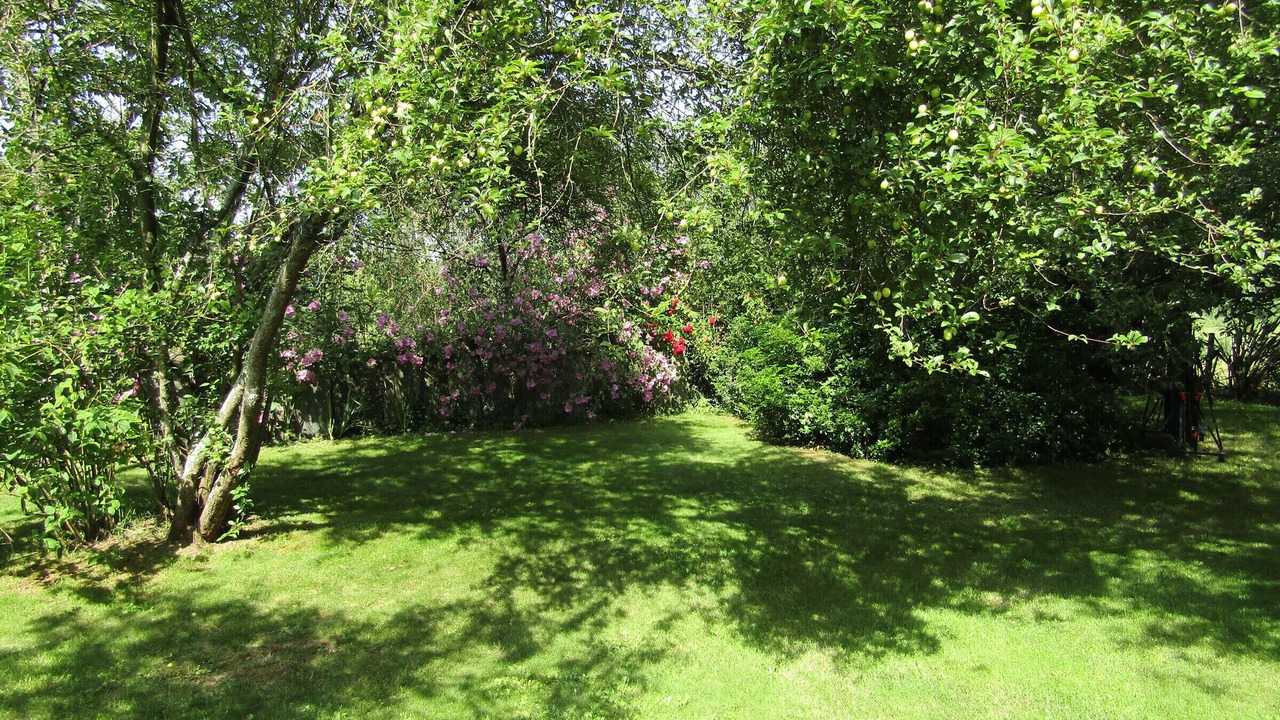 Photo of Outdoor in Saffre