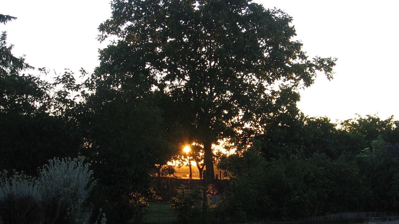 Photo of Outdoor in Bonnoeuvre
