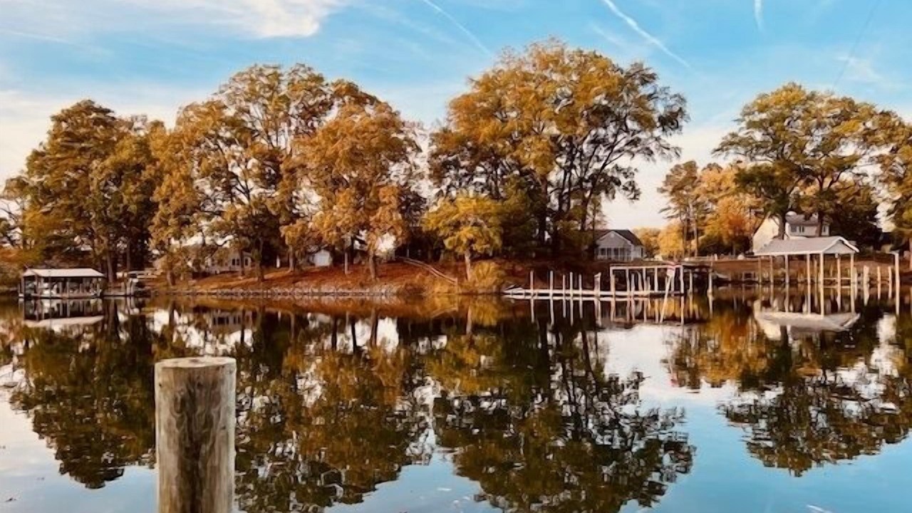 Photo of Others in Reedville