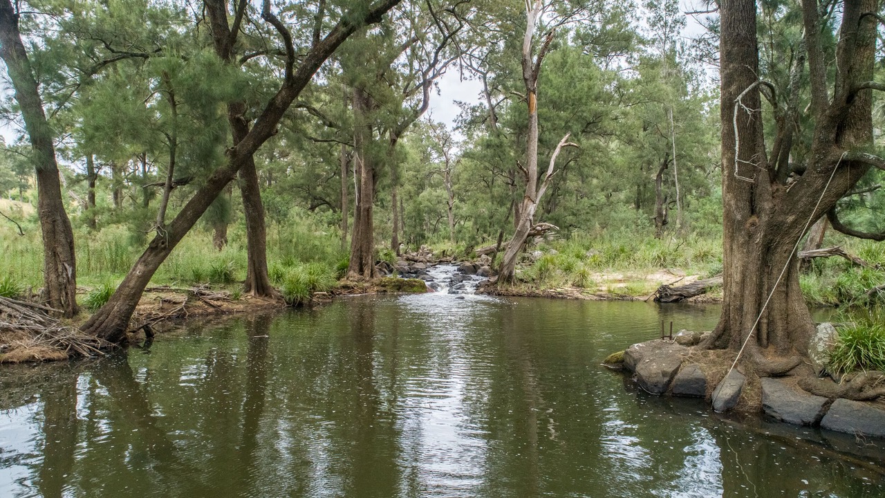 Photo of Others in Joadja