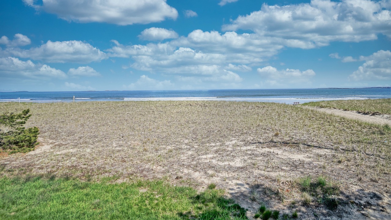 Photo of Others in Ocean Park
