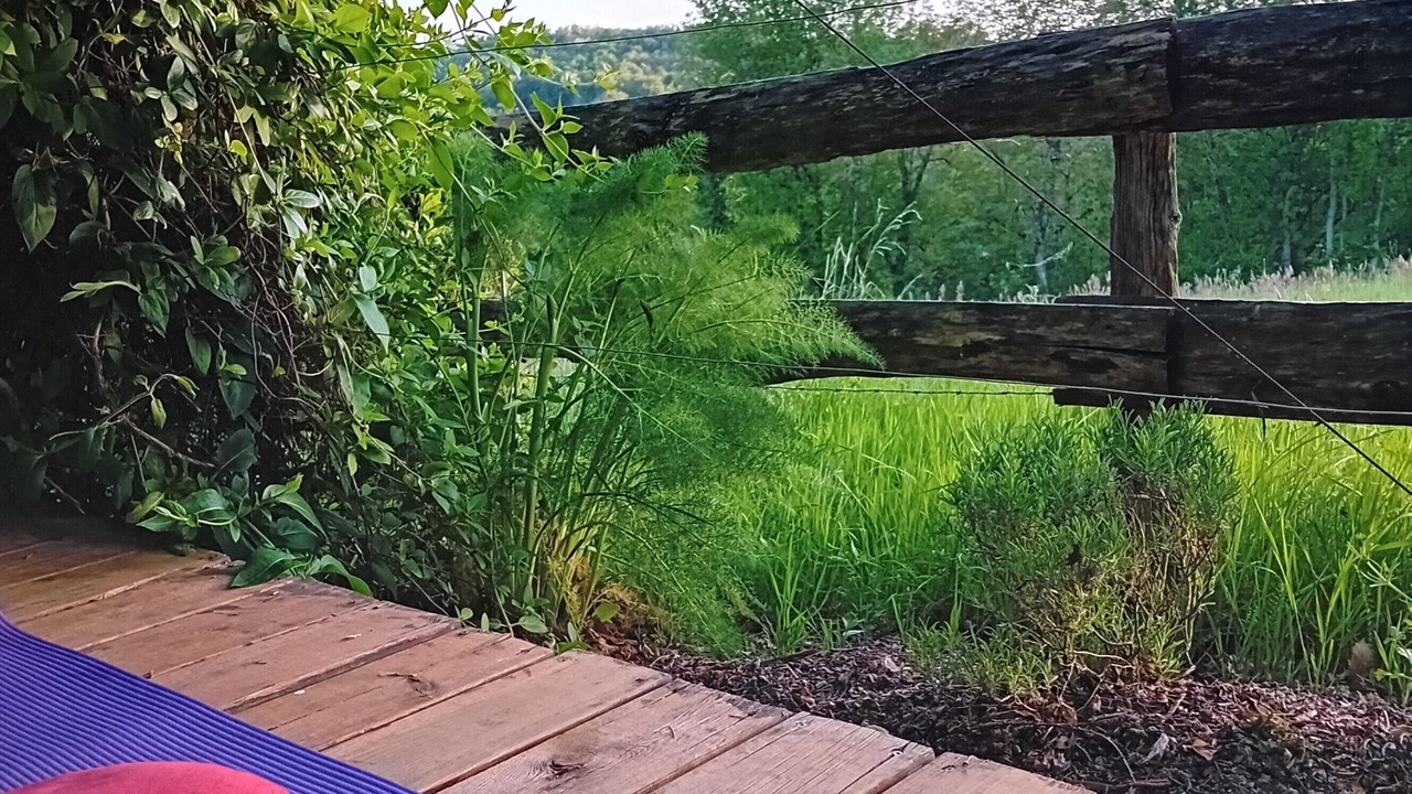 Photo of Patio Balcony in Vabre-Tizac