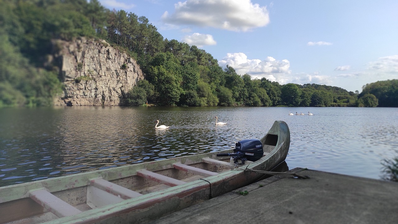 Photo of Others in Saint-Vincent-sur-Oust