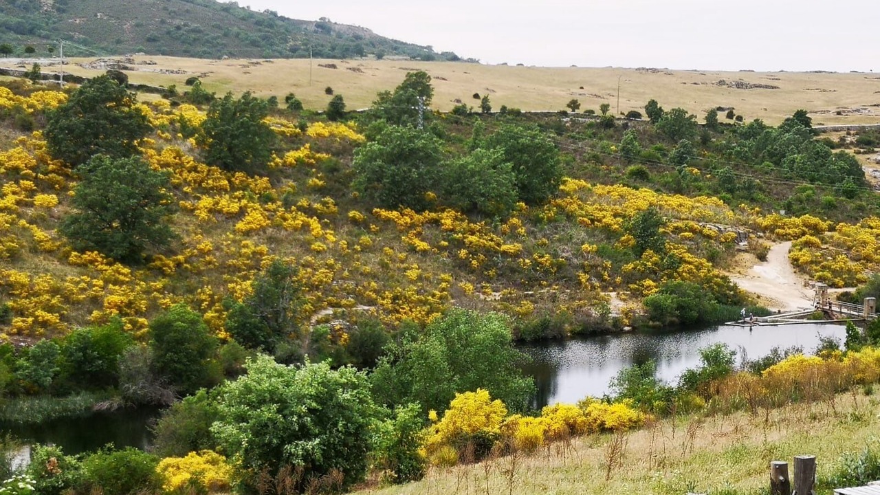Photo of Outdoor in La Pradera de Navalhorno