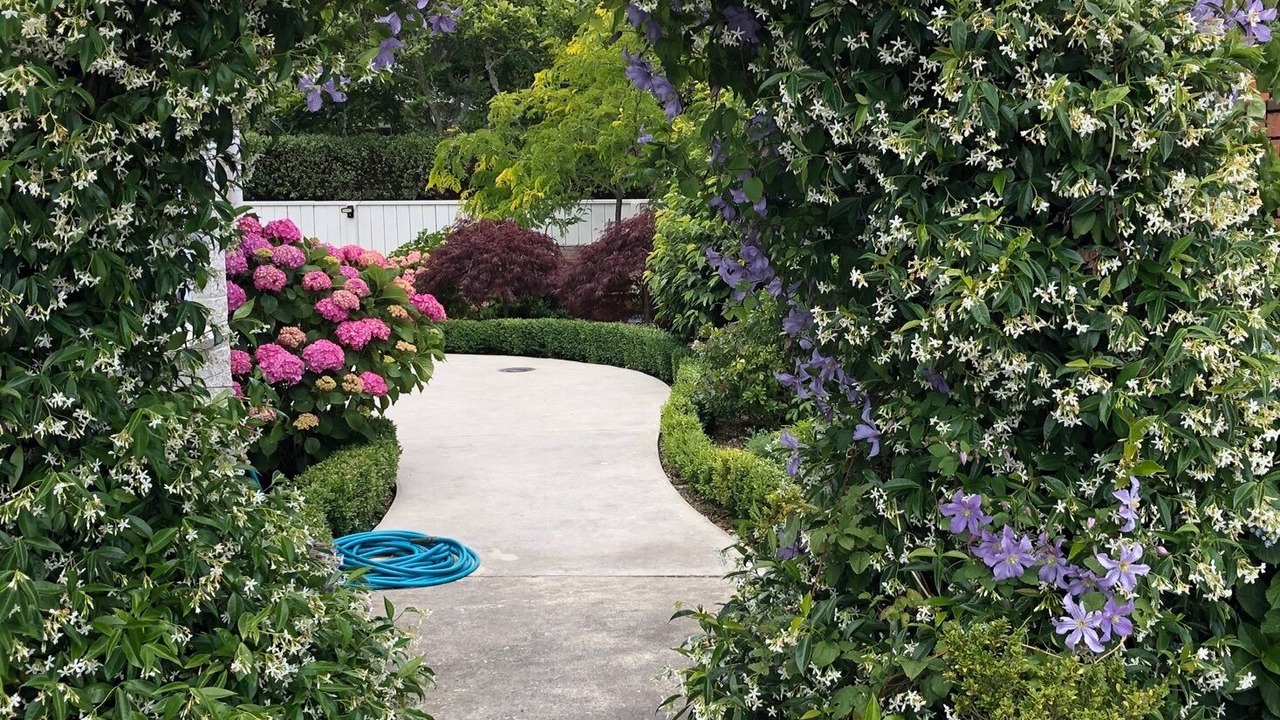 Photo of Others in Silverstream