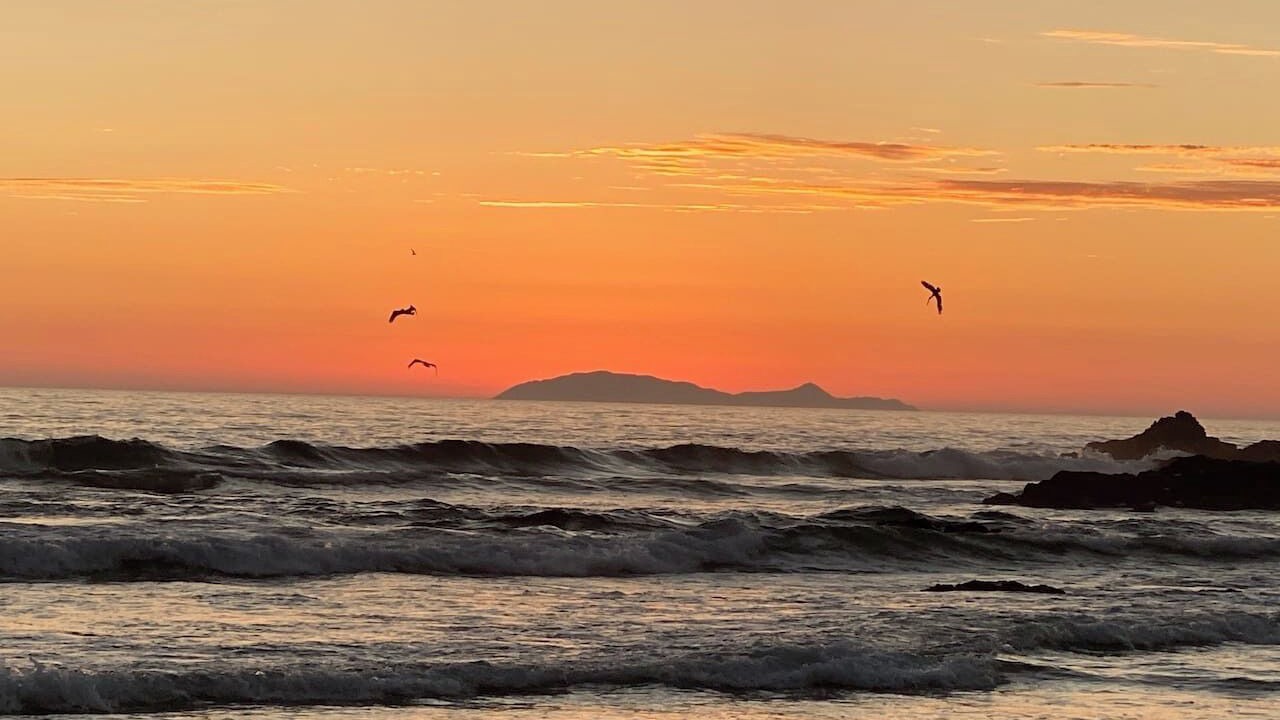 Photo of Others in Playa Encantada