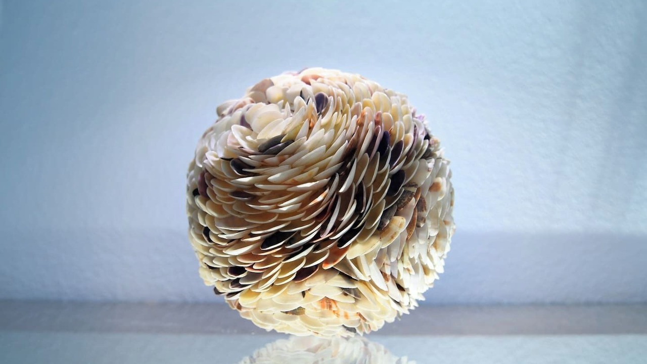 Photo of Others in Playa Encantada