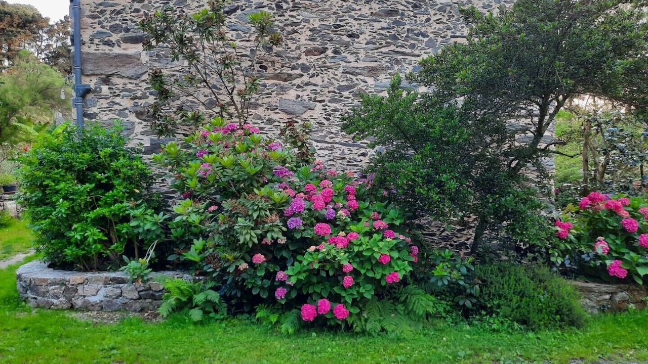 Photo of Outdoor in Pouzauges