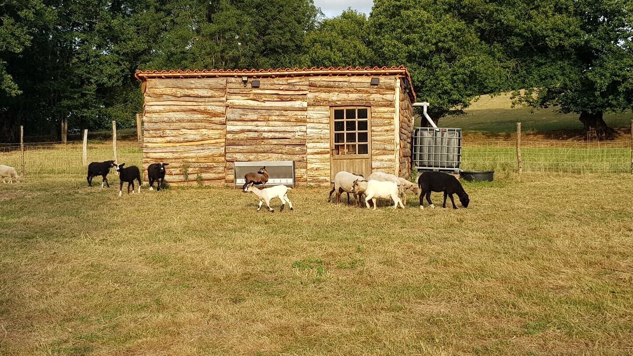 Photo of Outdoor in Pouzauges