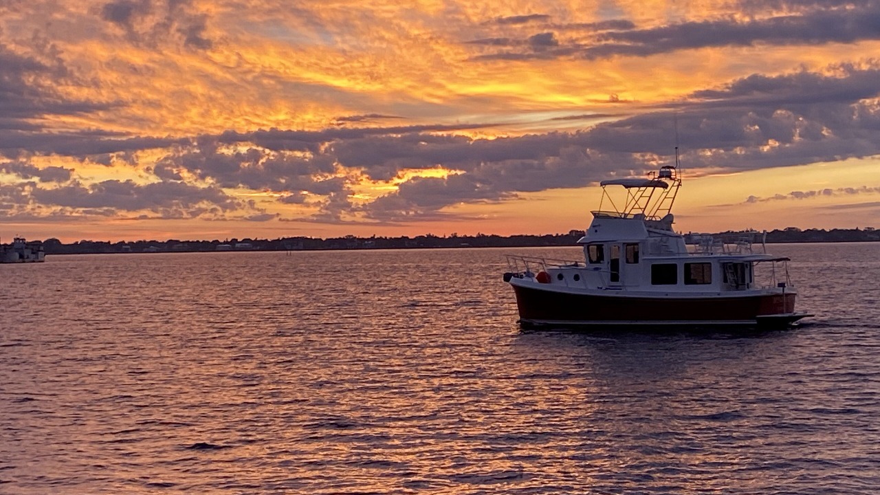Photo of Others in Caloosahatchee