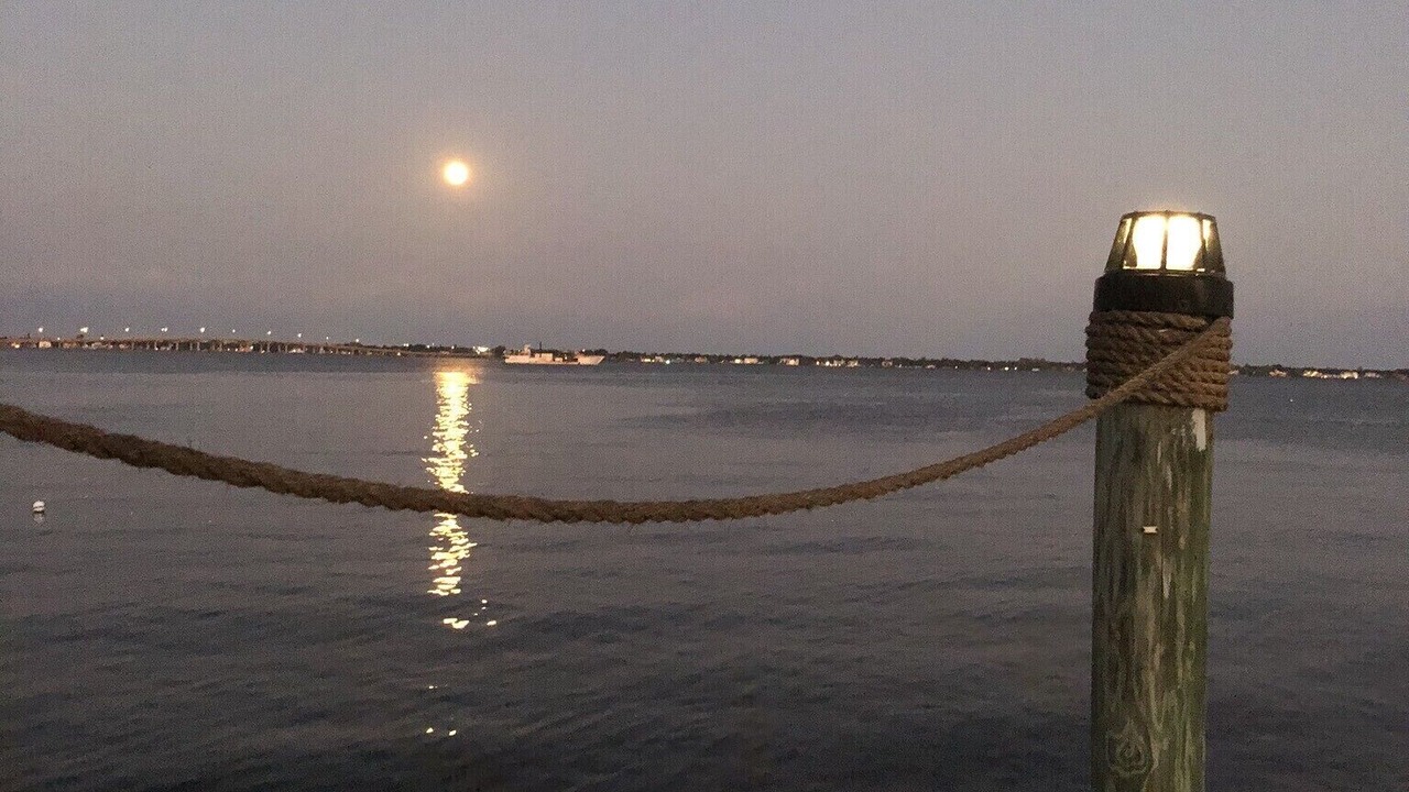 Photo of Others in Caloosahatchee