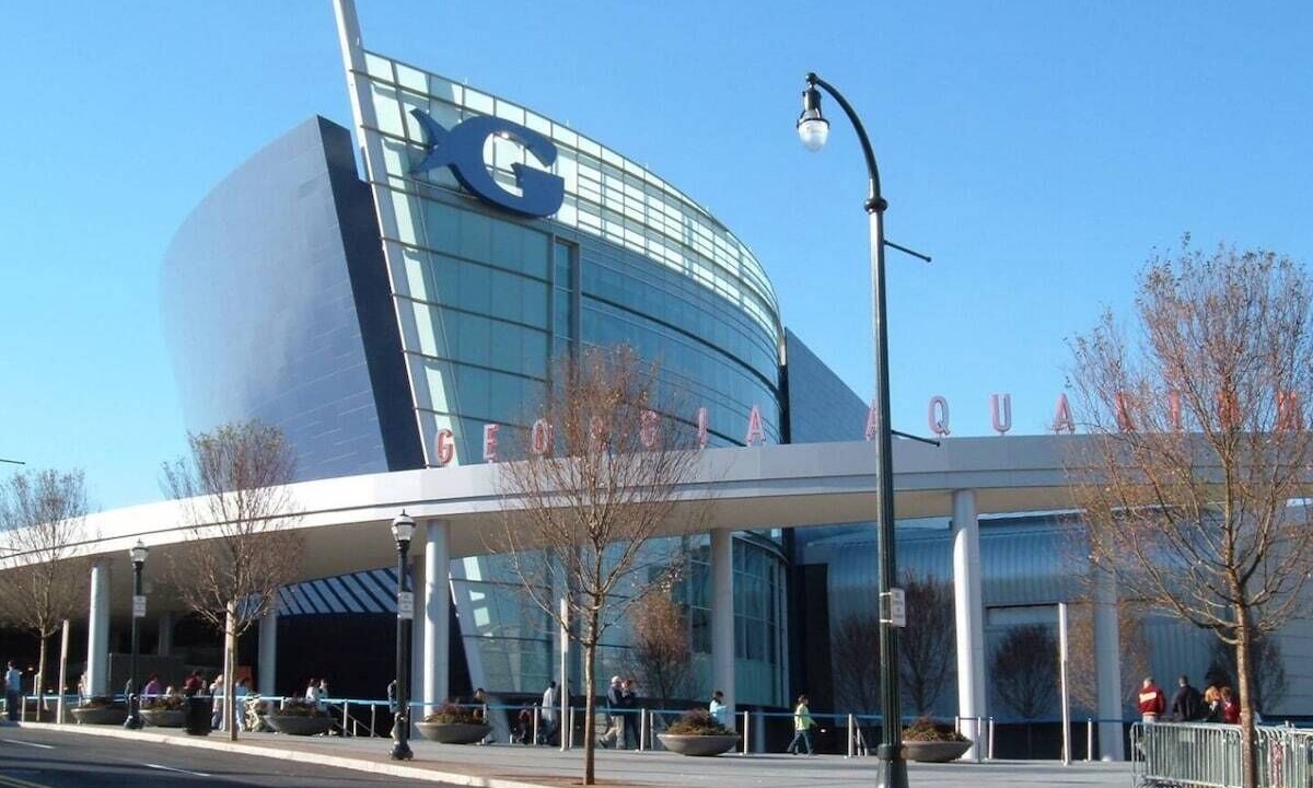 Photo of Others in East Side