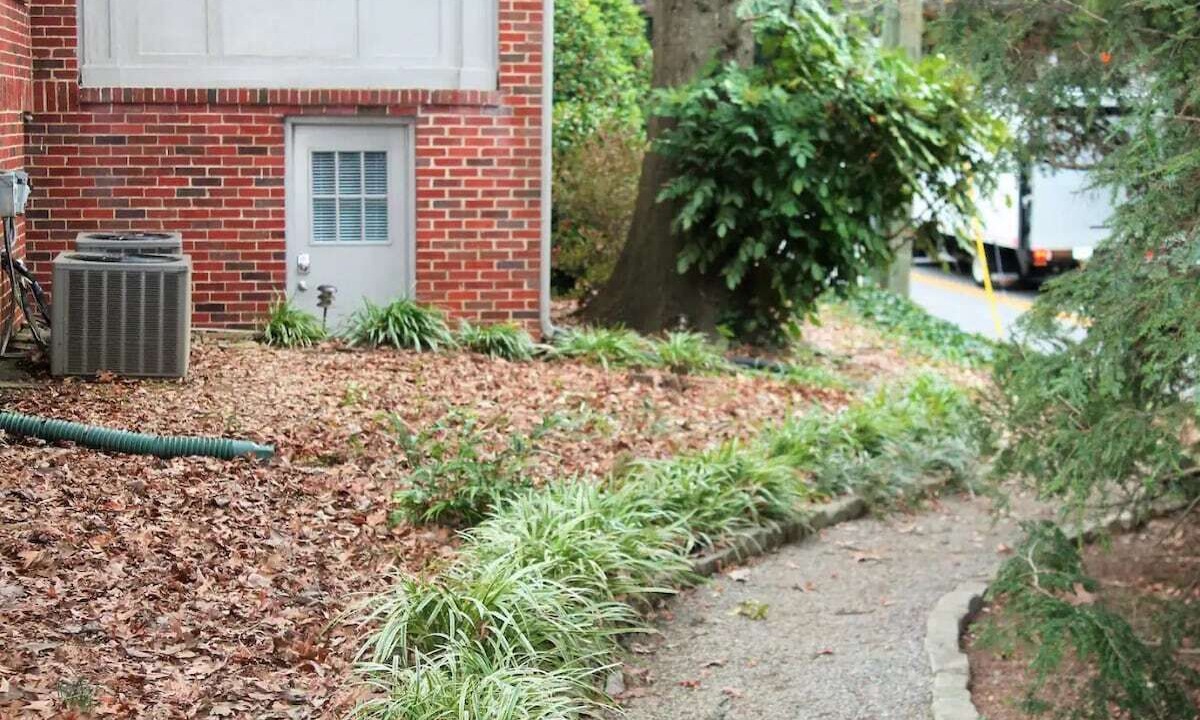 Photo of Outdoor in East Side