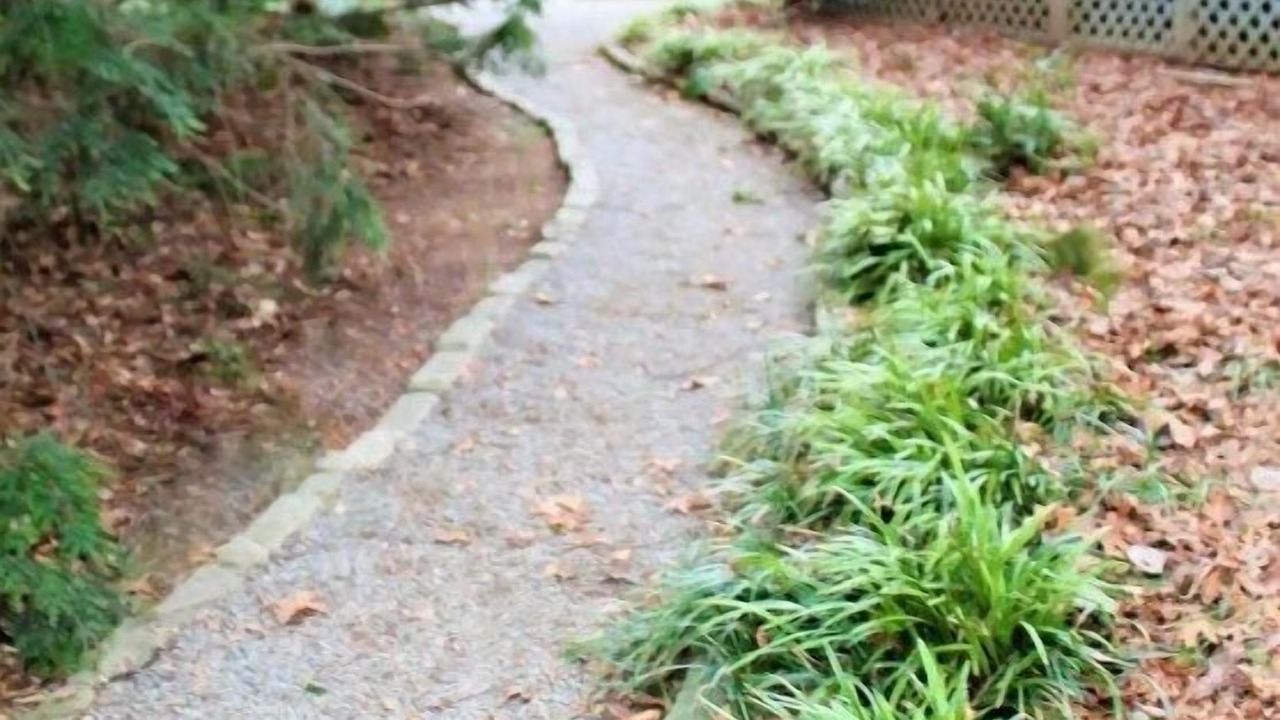 Photo of Outdoor in East Side