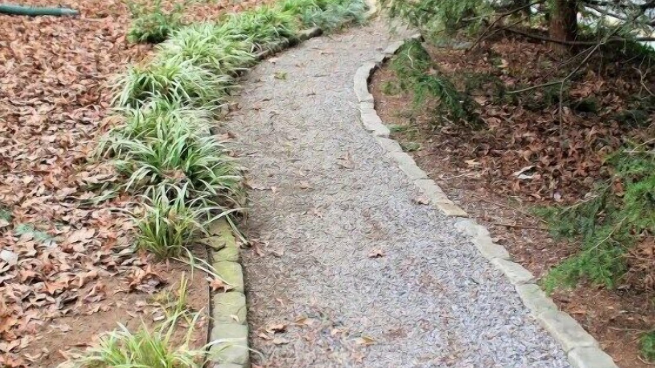 Photo of Outdoor in East Side