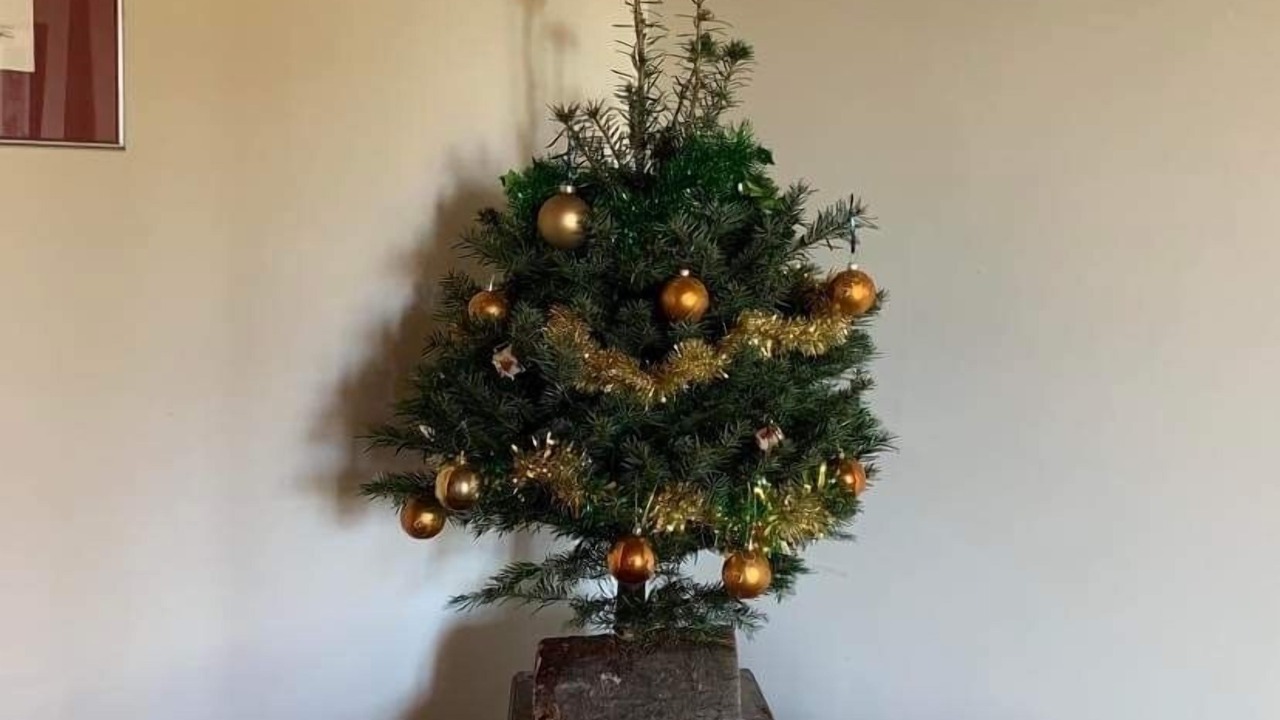 Photo of Others in Saint-Priest-la-Marche