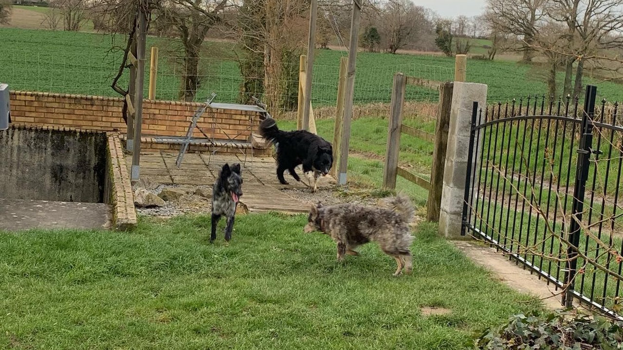 Photo of Outdoor in Saint-Priest-la-Marche