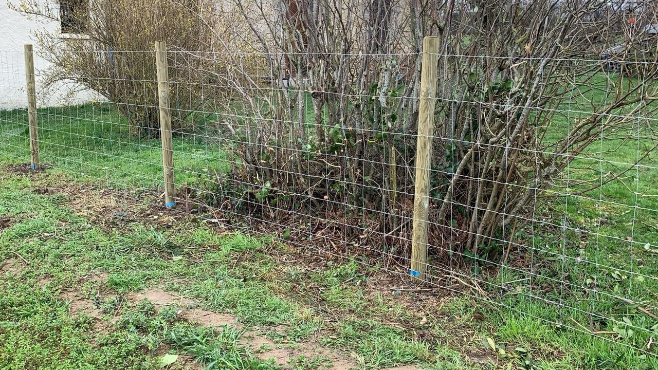 Photo of Outdoor in Saint-Priest-la-Marche