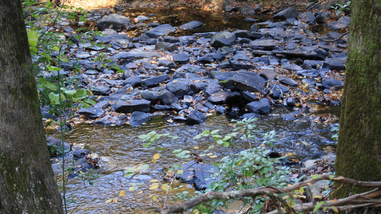 Photo of Outdoor in Albertville