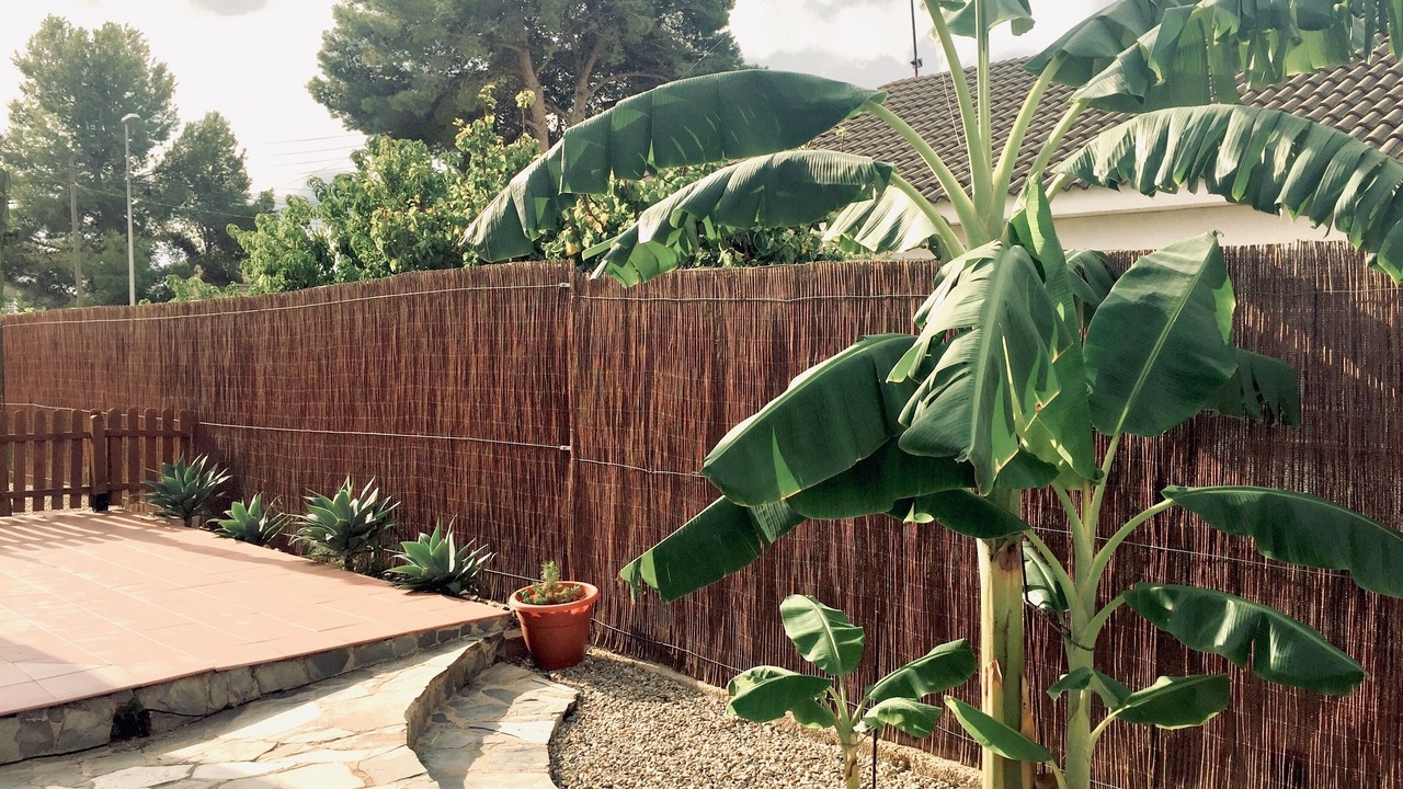 Photo of Outdoor in Segur de Calafell
