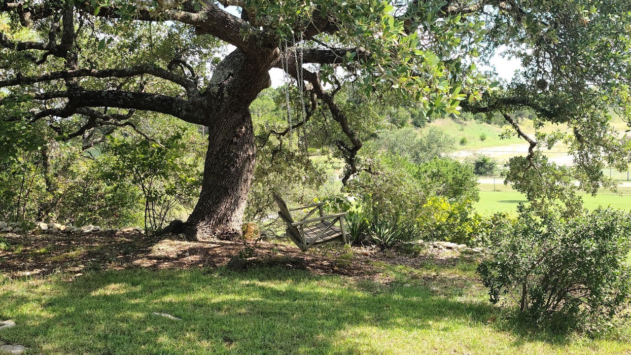 Photo of Outdoor in Spring Branch