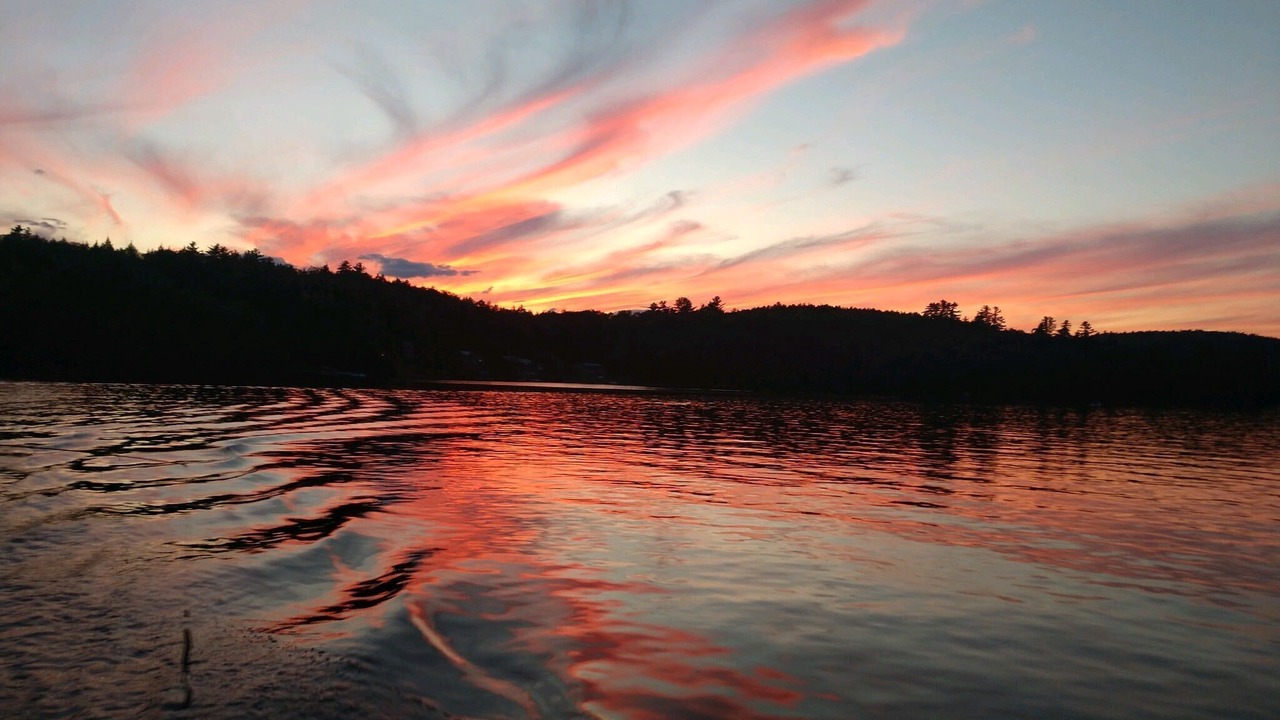 Photo of Others in Oakland