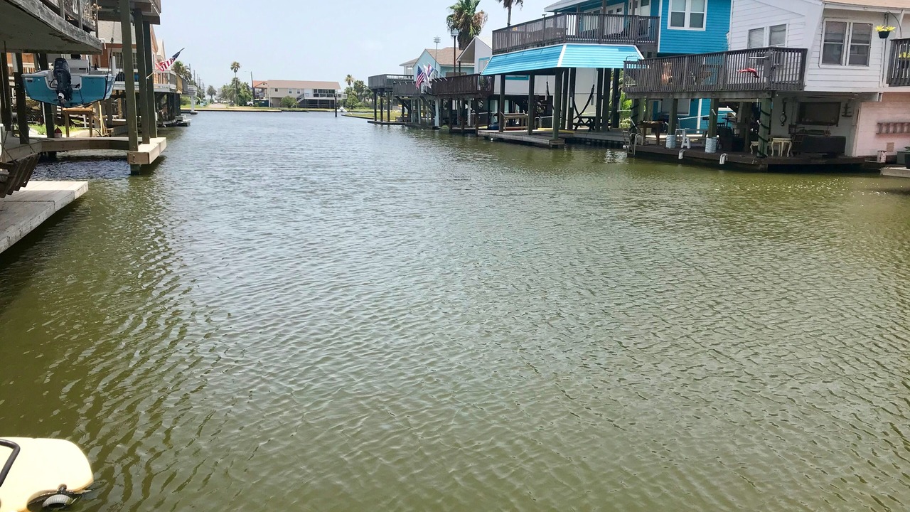 Photo of Outdoor in Jamaica Beach