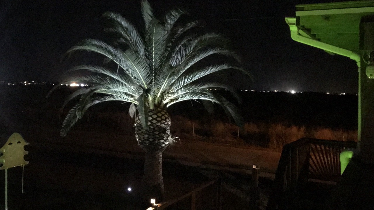 Photo of Outdoor in Jamaica Beach