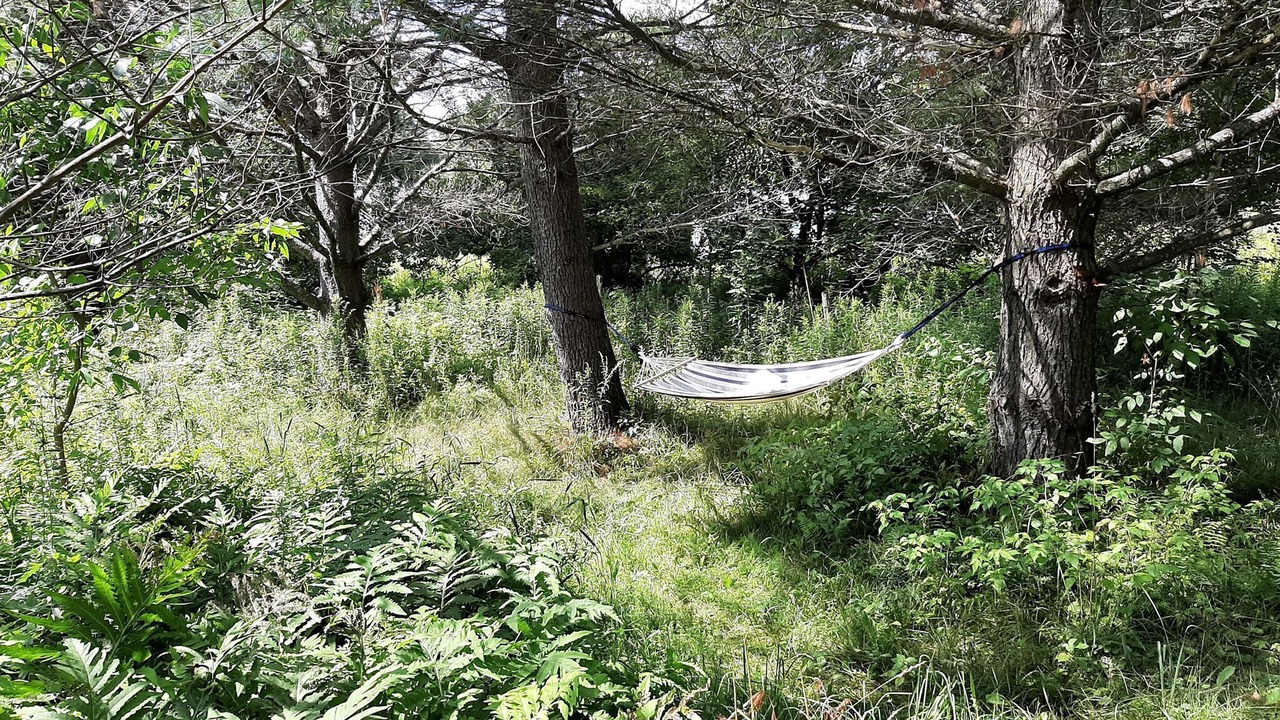 Photo of Outdoor in Orford