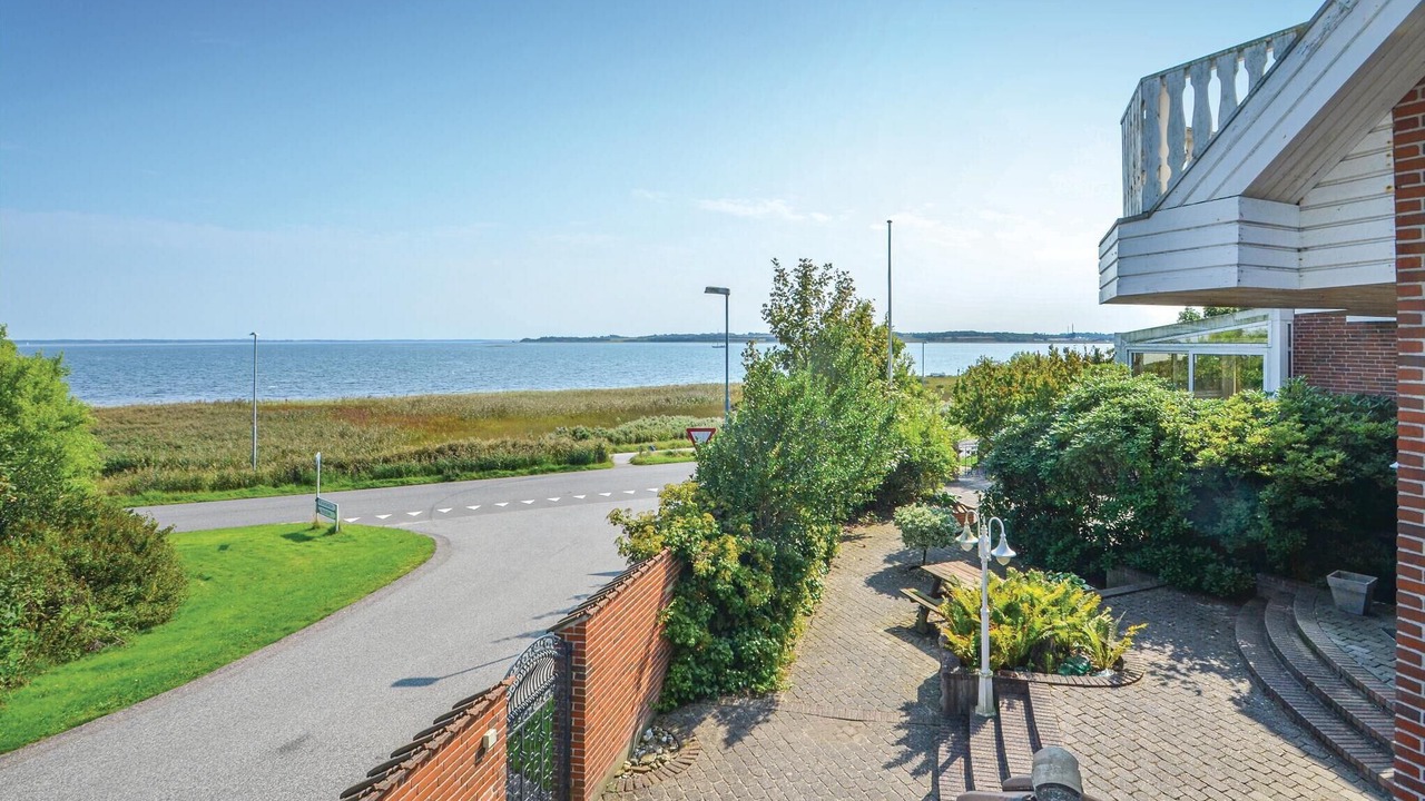 Photo of Others in Fur