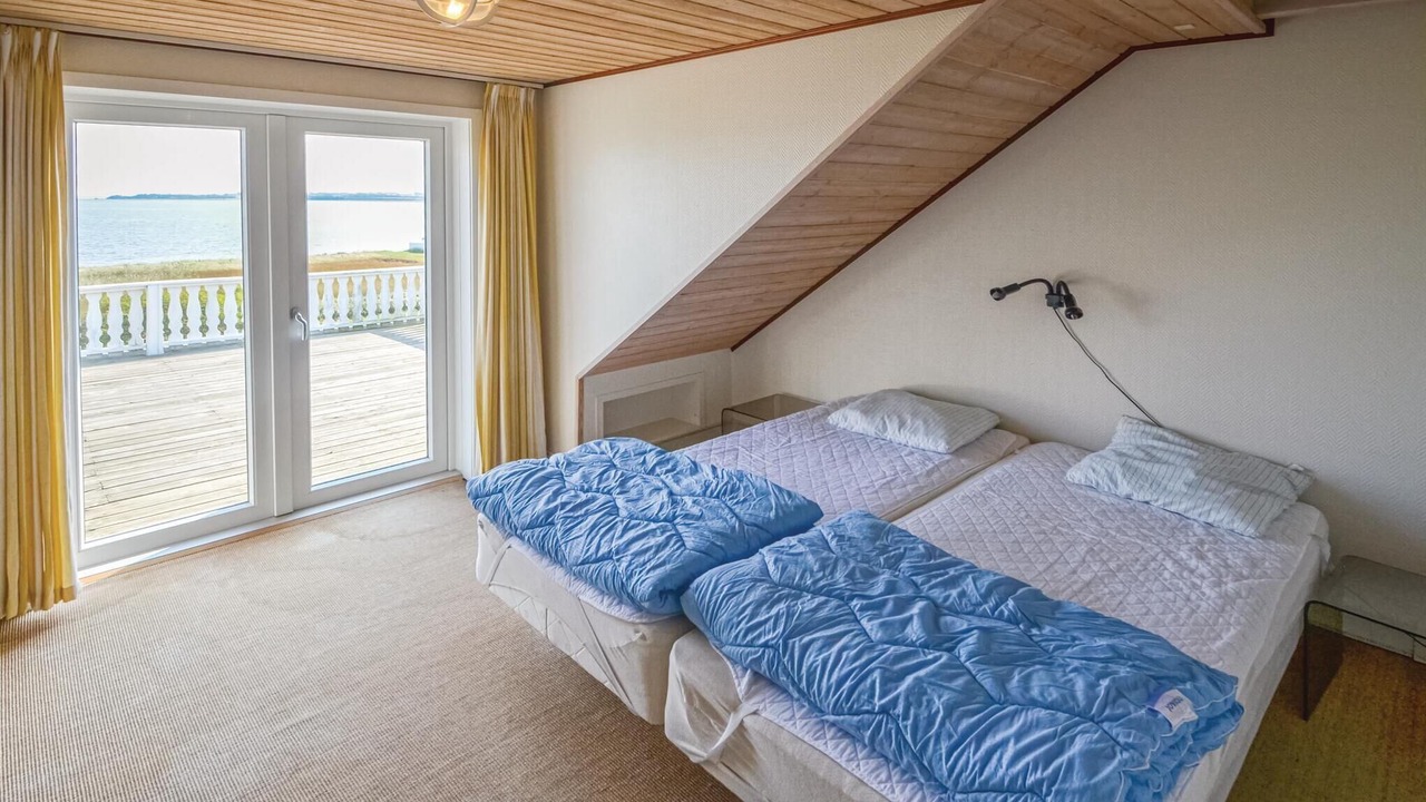 Photo of Others in Fur