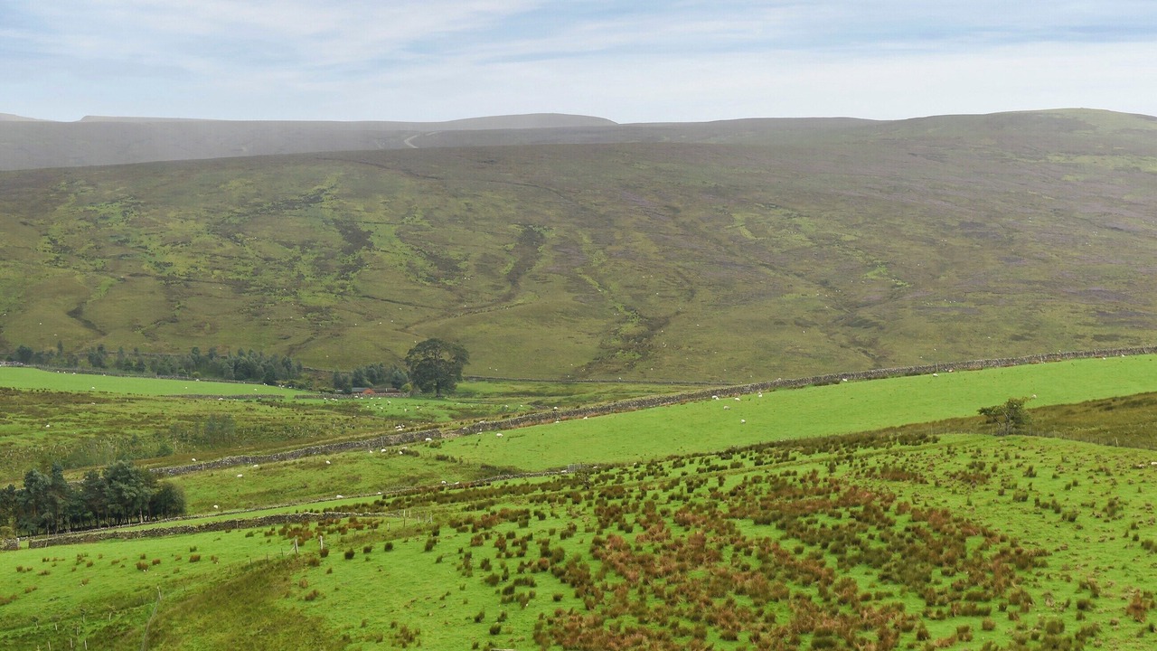 Photo of Others in Kirkby Stephen