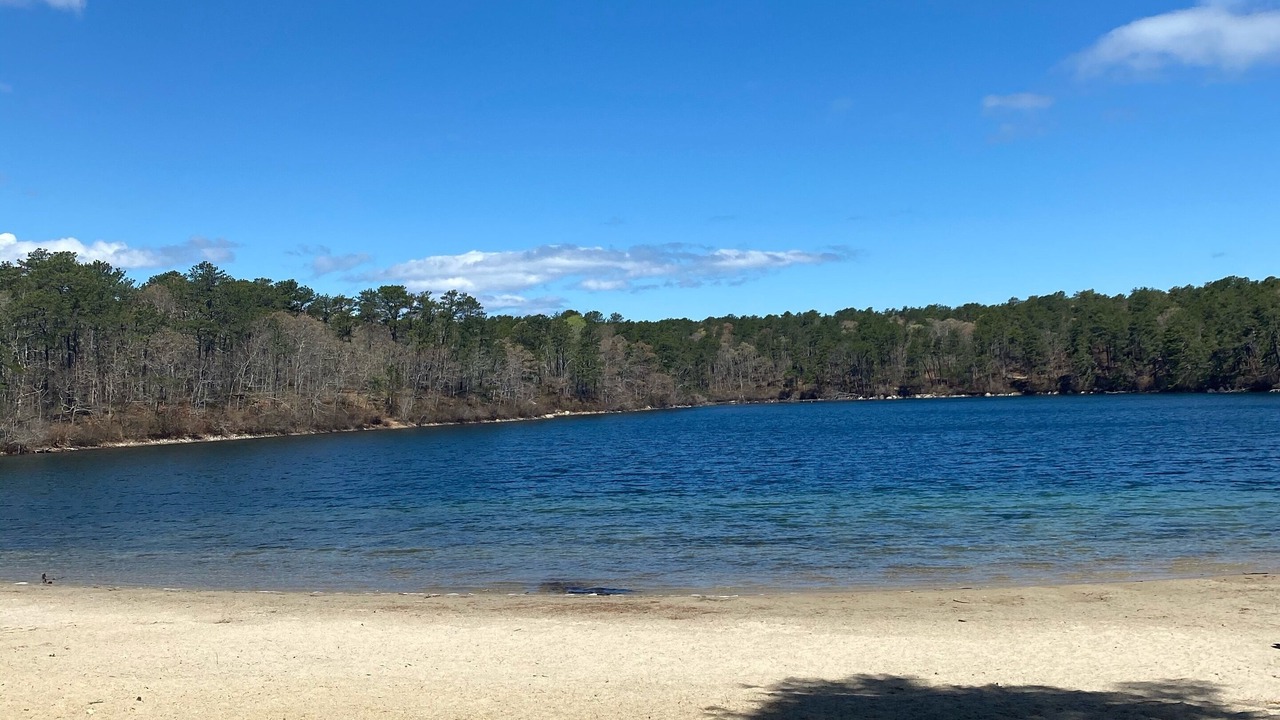 Photo of Others in Hyannis