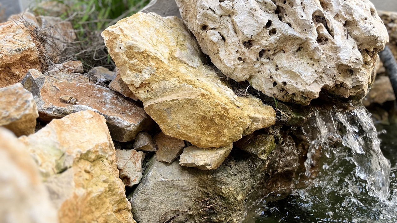 Photo of Others in Saint-Jean-de-Vedas