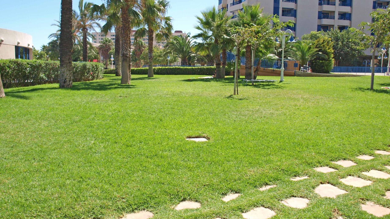 Photo of Others in Alboraya