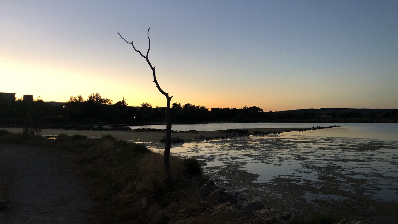 Photo of Others in Peyriac-de-Mer